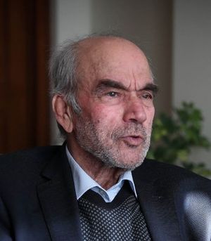 رضا داوری اردکانی.jpeg